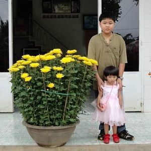 Meet your Posher, Nguyễn thị